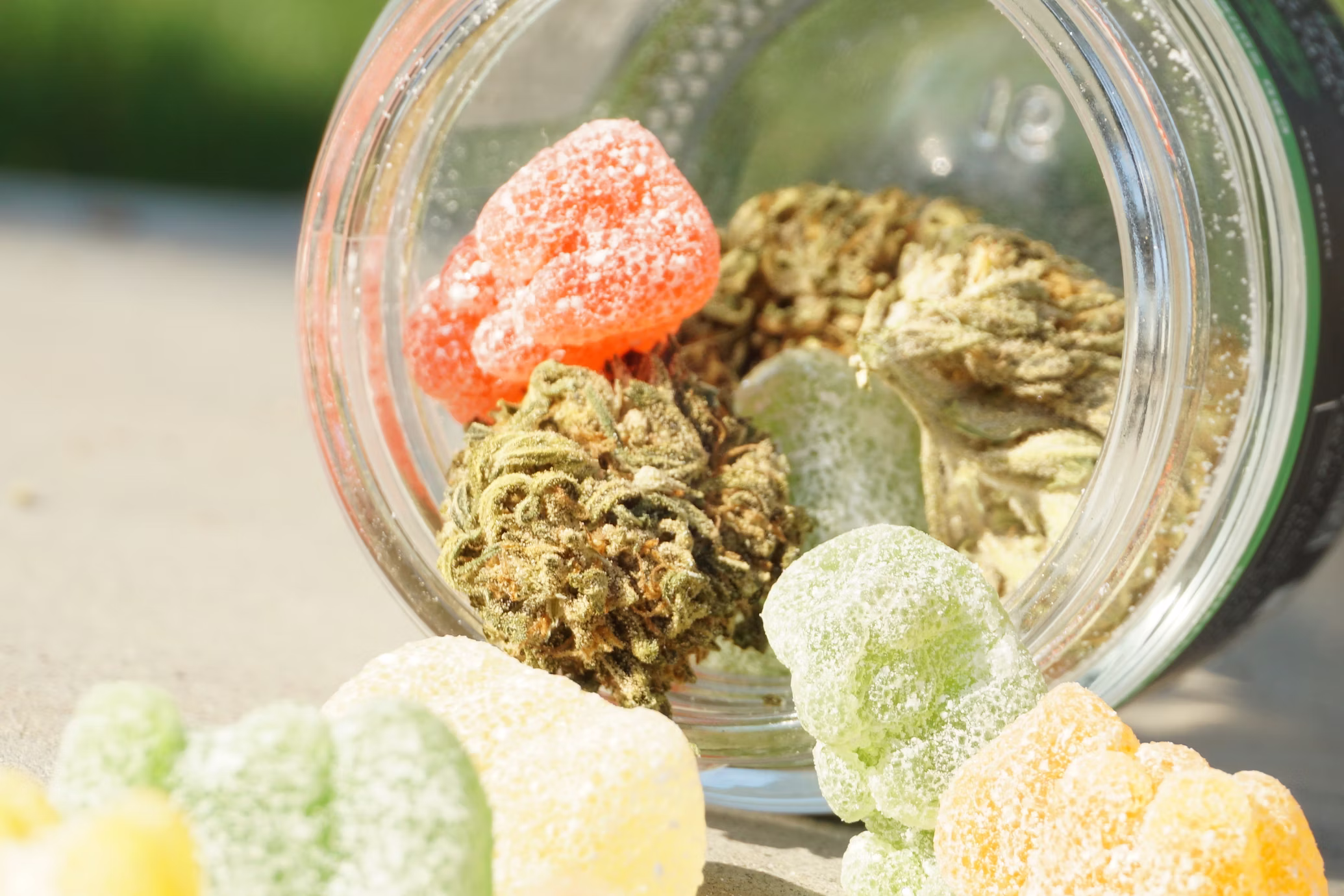 Hemp THC gummies
