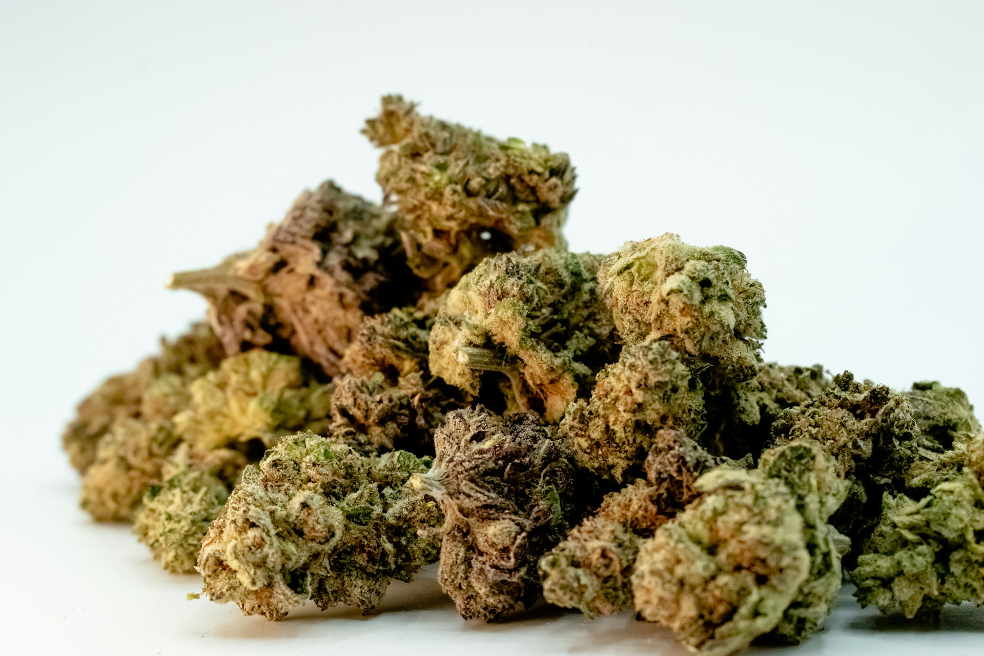 Premium THCA hemp flower buds