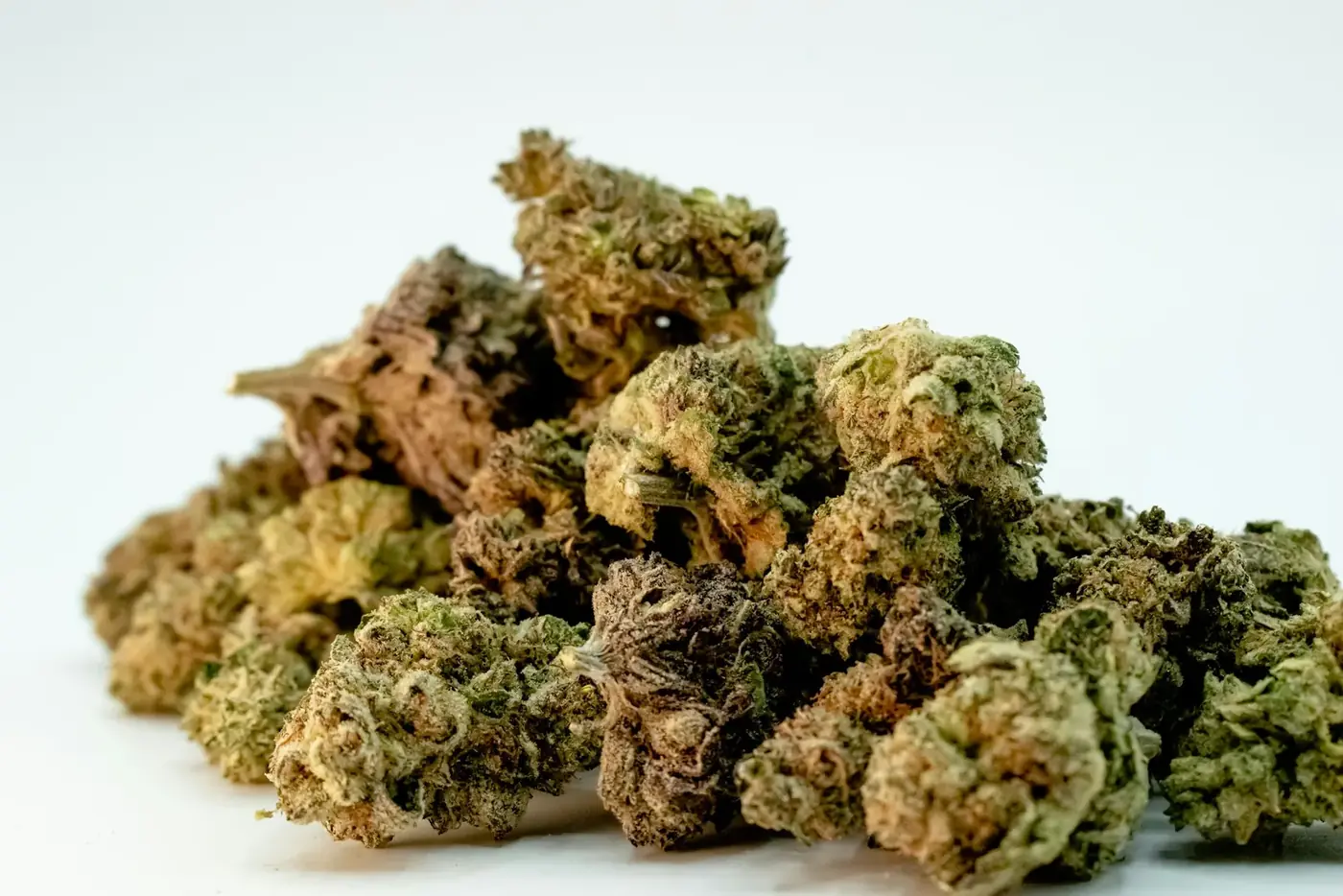 Premium THCA hemp flower buds close-up