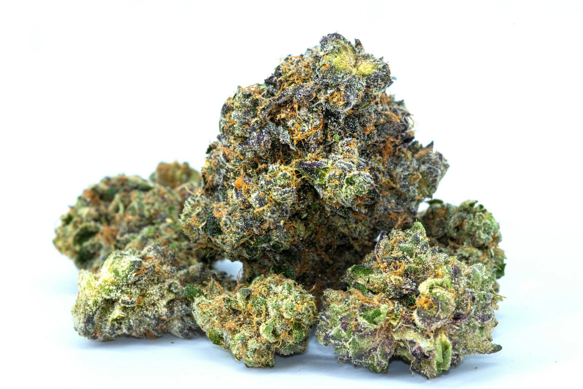 Hybrid cannabis flower showing mixed indica and sativa characteristics