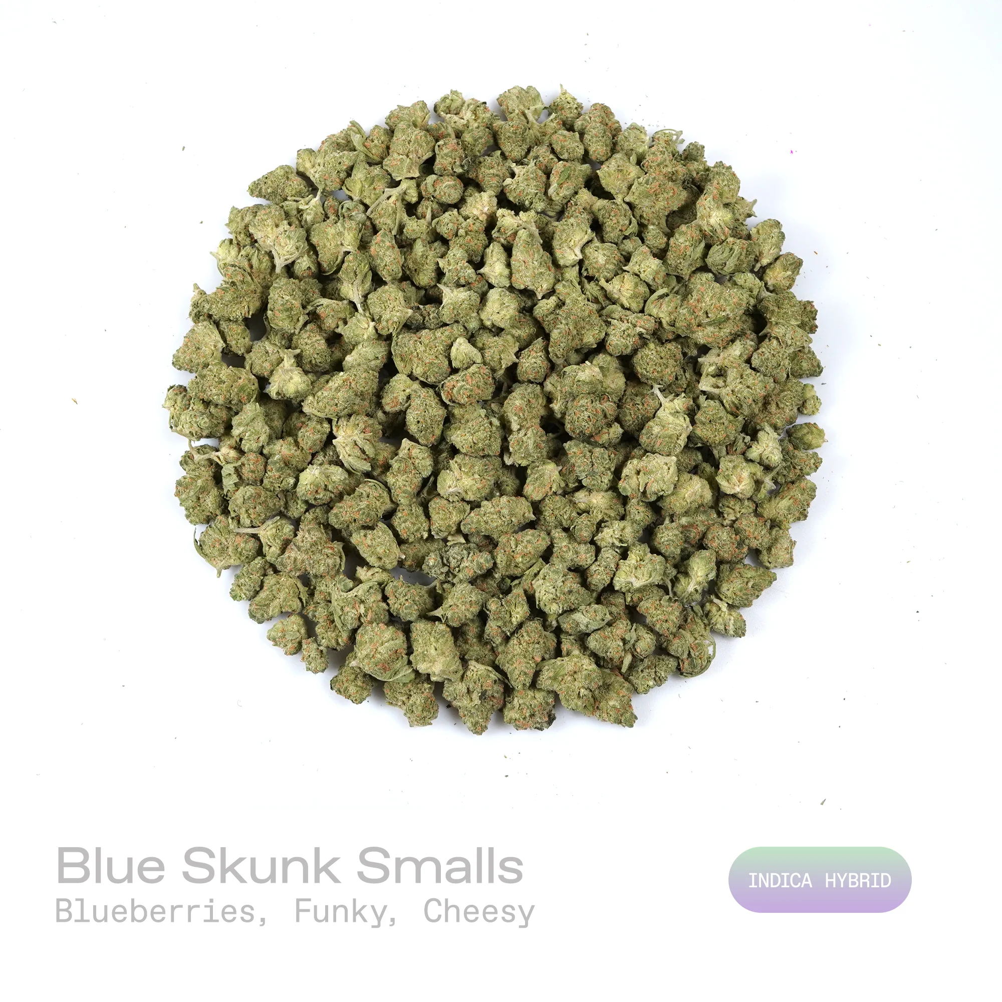 Puffy Blue Skunk THCa Flower 28g
