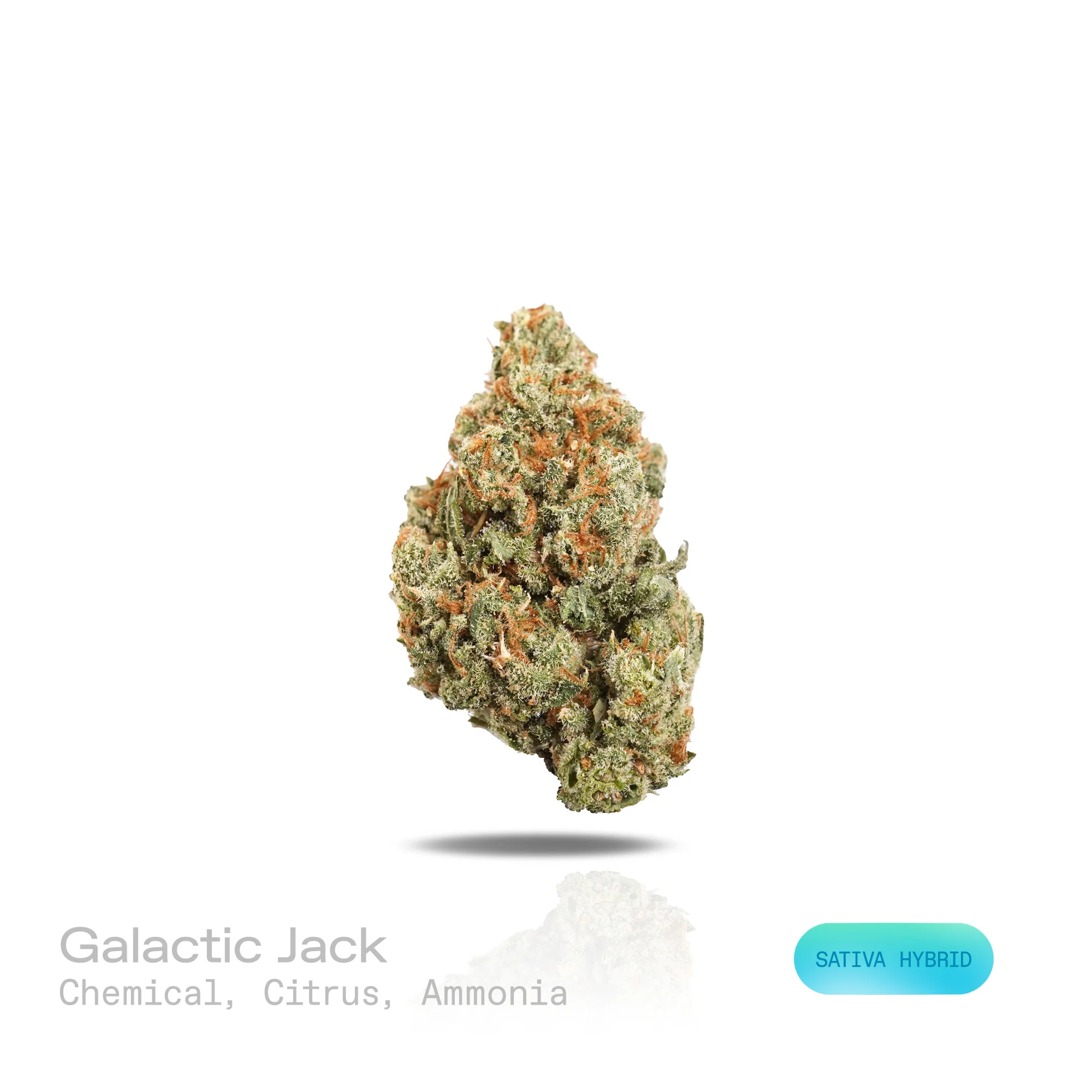 Puffy Galactic Jack THCa Flower 28g